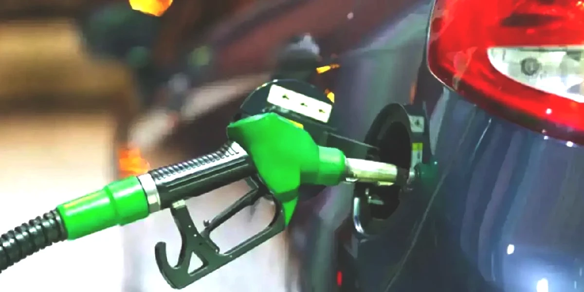 motorine-zam.jpg