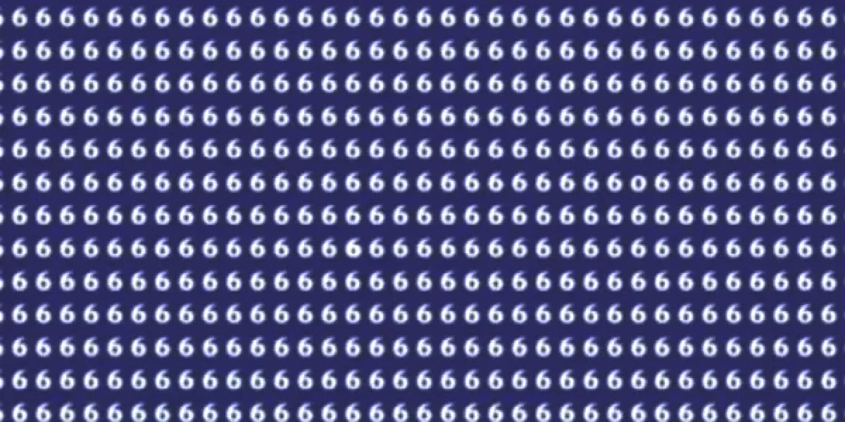 6-sayisi-test.jpg