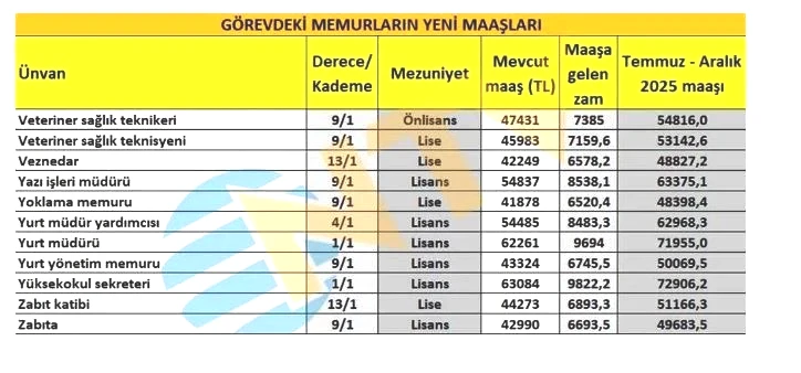 Memur maaş zammı son dakika 2025 hesaplaması: Öğretmen, doktor, polis, hemşire, mühendis, zabıta, bekçi maaşları ne kadar oldu? - 14