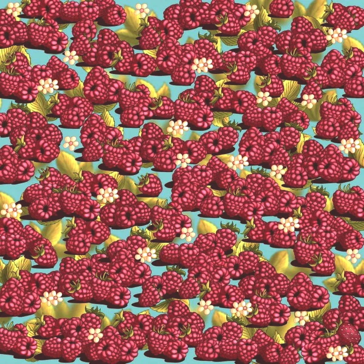 ahududu-test.jpg