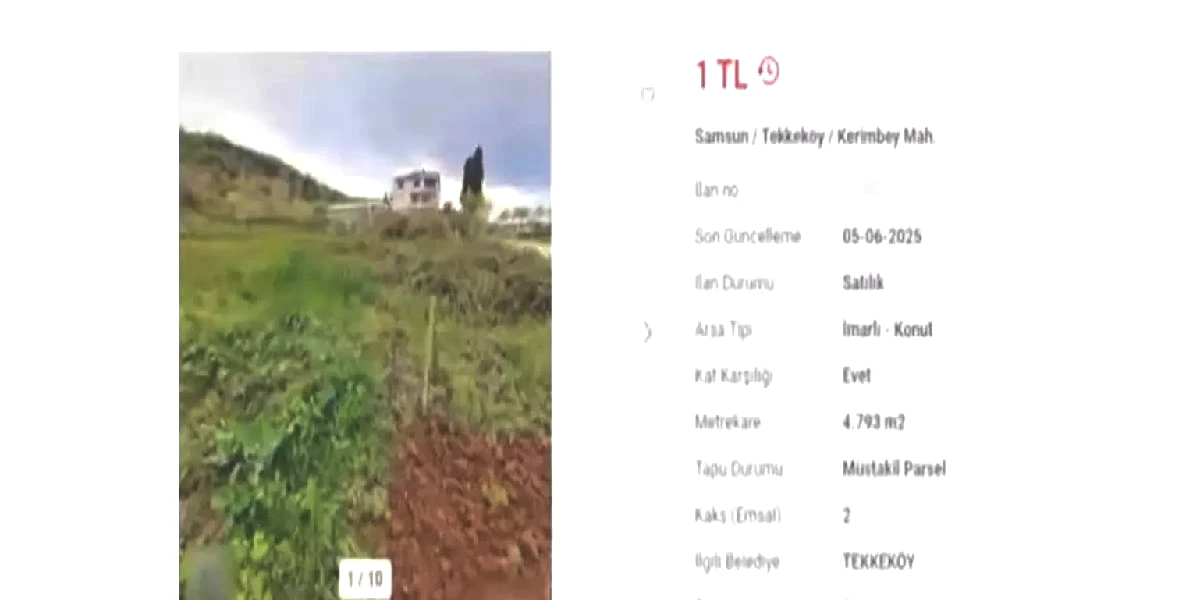 yeni-proje-24.jpg